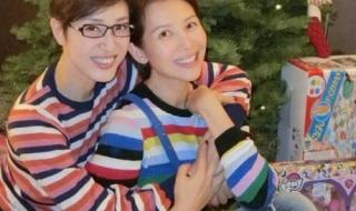 陈法蓉主演的电视剧