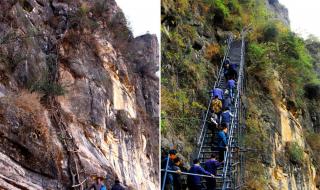 11月22号属于什么星座